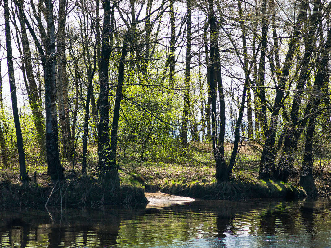 �� ������ ������ ����� Vitaly Konakov �� PhotoGeek.ru #������ ��� ������� #����� ��������