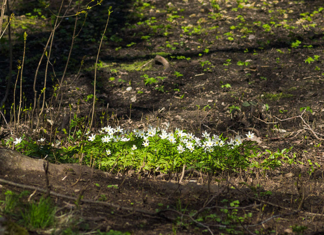 �������� ����� Vitaly Konakov �� PhotoGeek.ru #������ ��� ������� #����� ��������