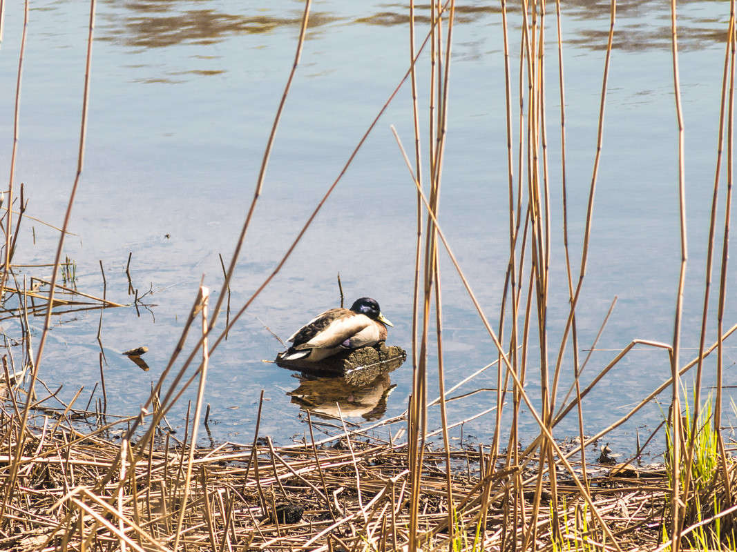 ������ ����� Vitaly Konakov �� PhotoGeek.ru #�������� ���������� #���������������