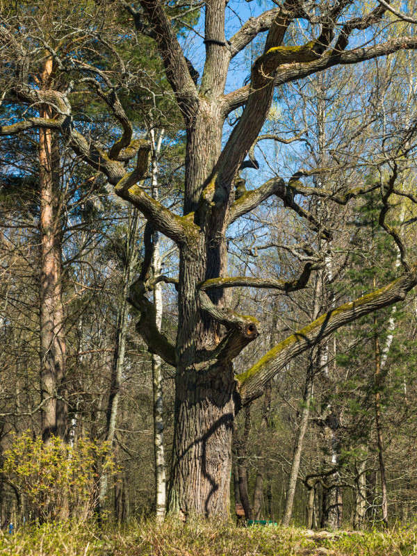 ������ ��� 4� ����� Vitaly Konakov �� PhotoGeek.ru #������ ��� ������� #����� ��������