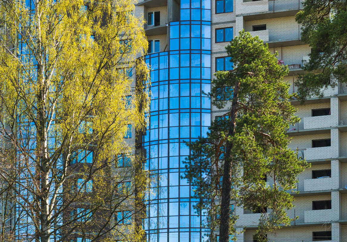 ��������� ���� ����� Vitaly Konakov �� PhotoGeek.ru #������ ��� ������� #����� ��������