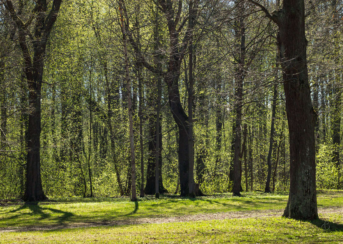 ������ ��� 2 ����� Vitaly Konakov �� PhotoGeek.ru #������ ��� ������� #����� ��������