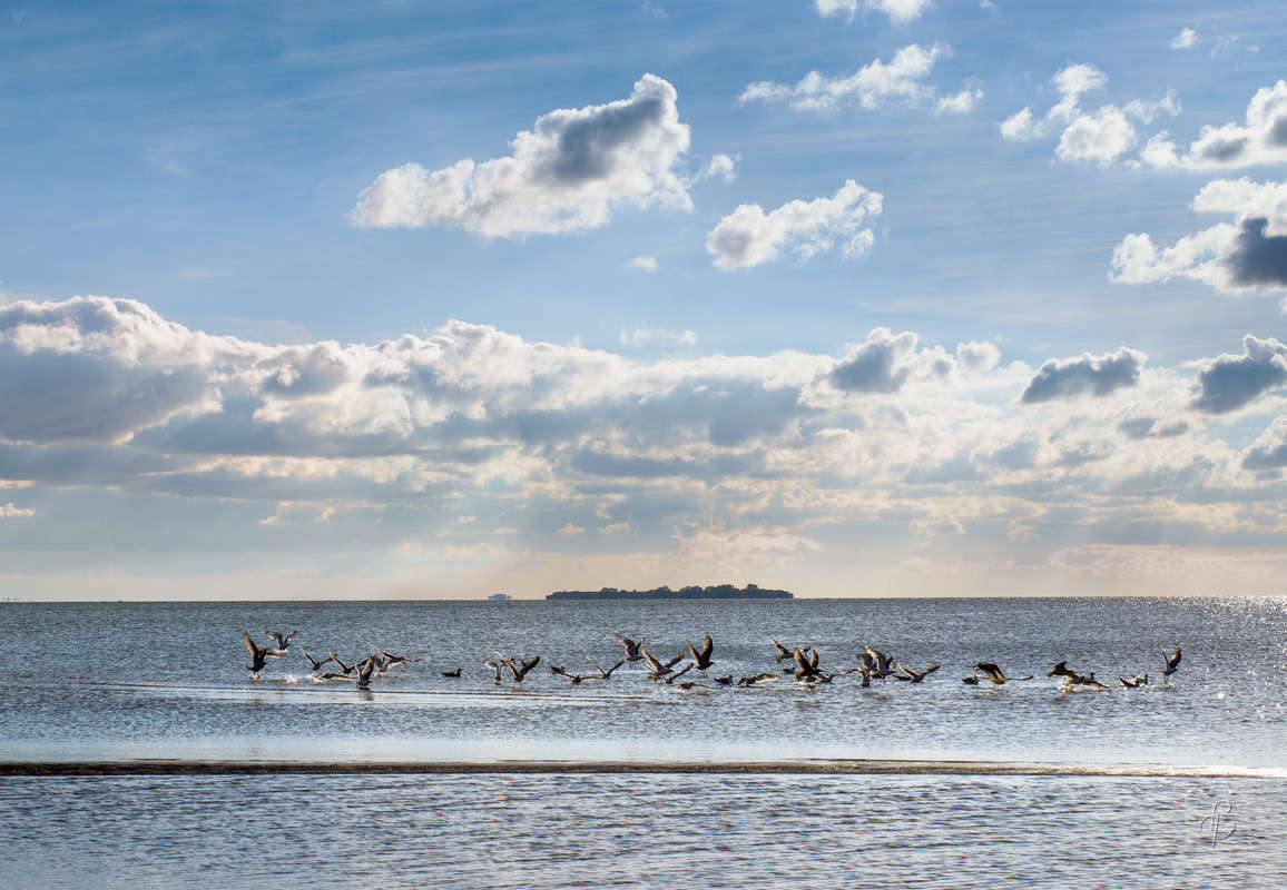 �� ����� ����� Vitaly Konakov �� PhotoGeek.ru #������ ��� ������� #����� ��������