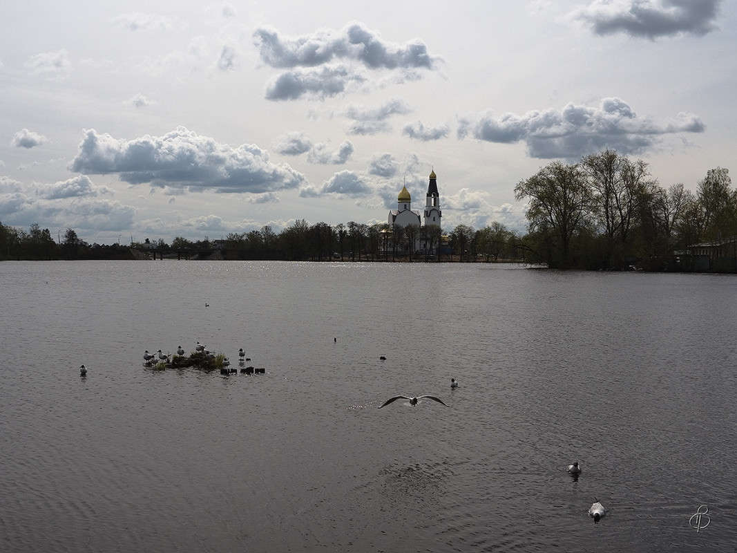 � ����� ���� ����� Vitaly Konakov �� PhotoGeek.ru #������ ��� ������� #����� ��������