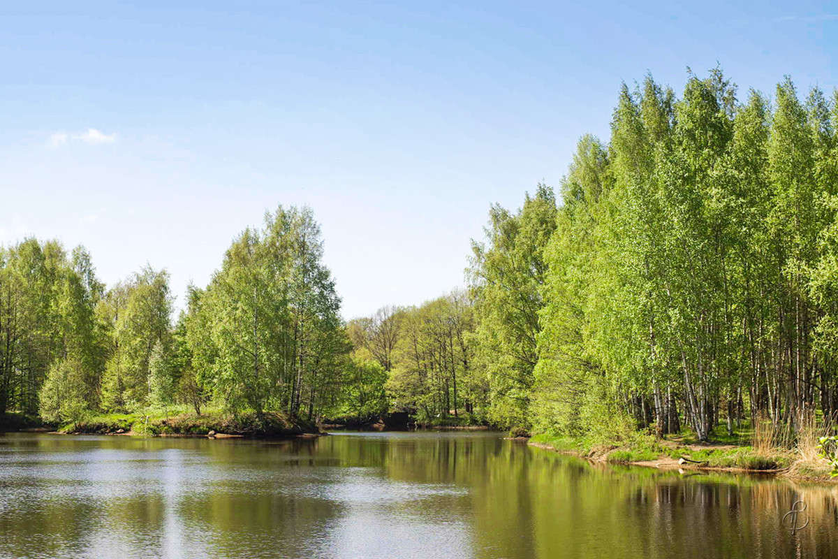 � ������� ����� ����� Vitaly Konakov �� PhotoGeek.ru #������ ��� ������� #����� ��������