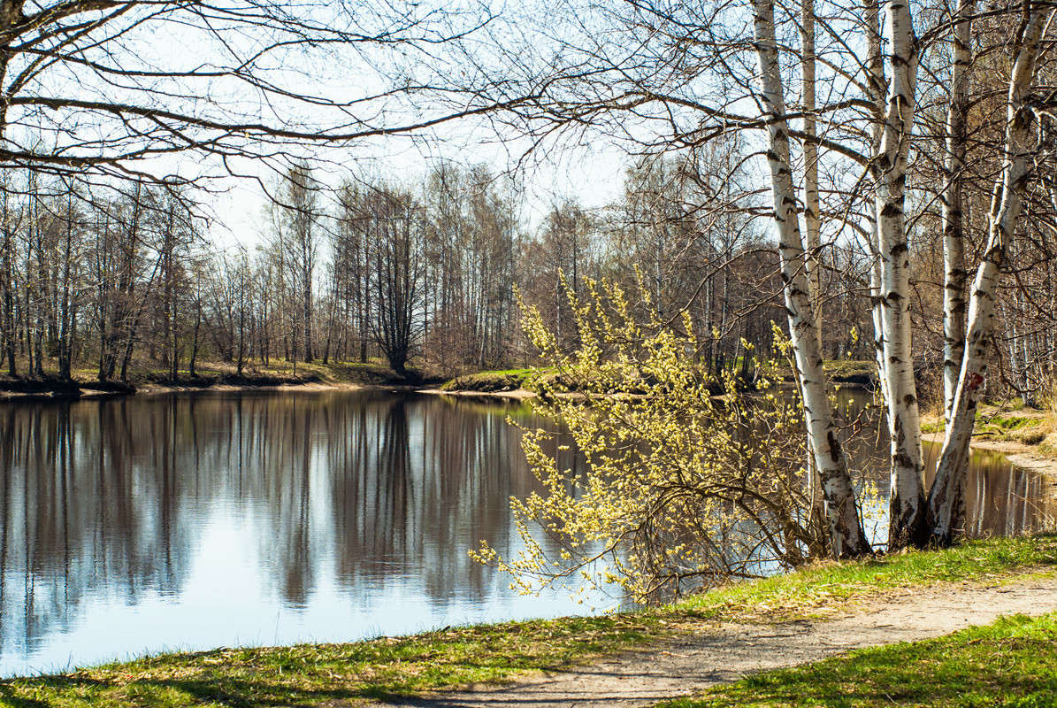 ������� ���� ����� Vitaly Konakov �� PhotoGeek.ru #������ ��� ������� #����� ��������