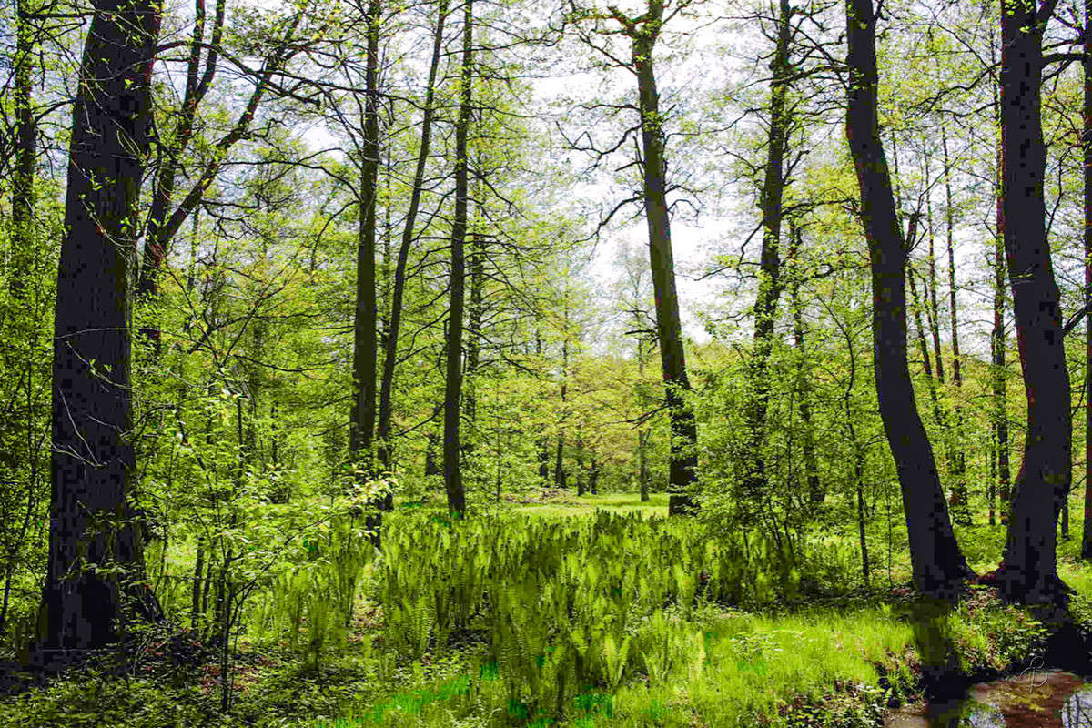 ������� ����������� ����� Vitaly Konakov �� PhotoGeek.ru #������ ��� ������� #����� ��������