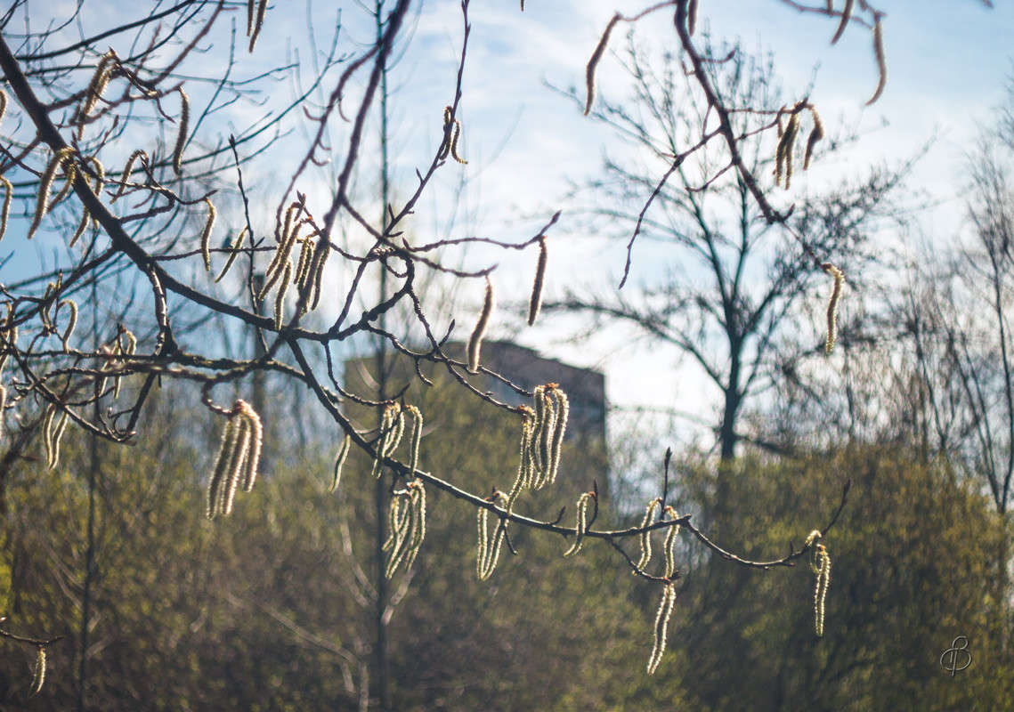 �������� ����� ����� Vitaly Konakov �� PhotoGeek.ru #������ ��� ������� #����� ��������