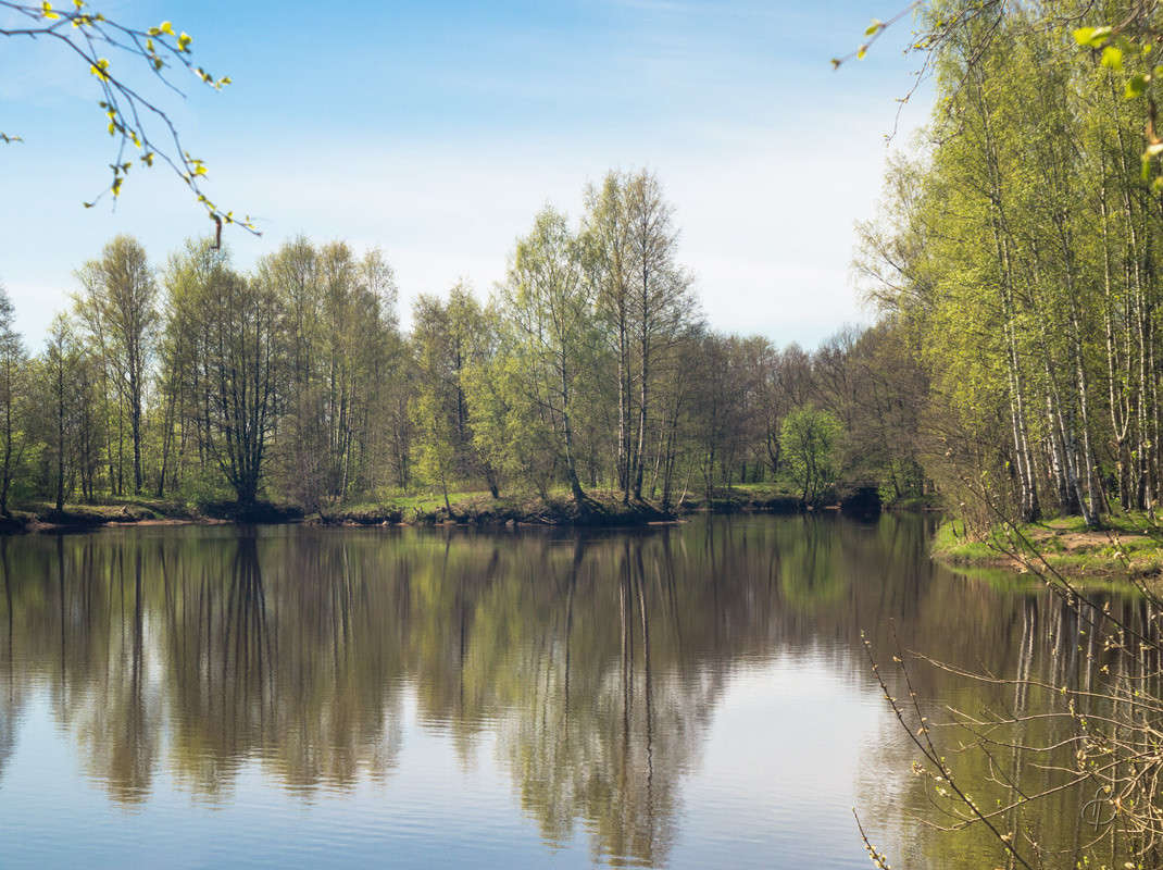 ������ ����� Vitaly Konakov �� PhotoGeek.ru #������ ��� ������� #����� ��������