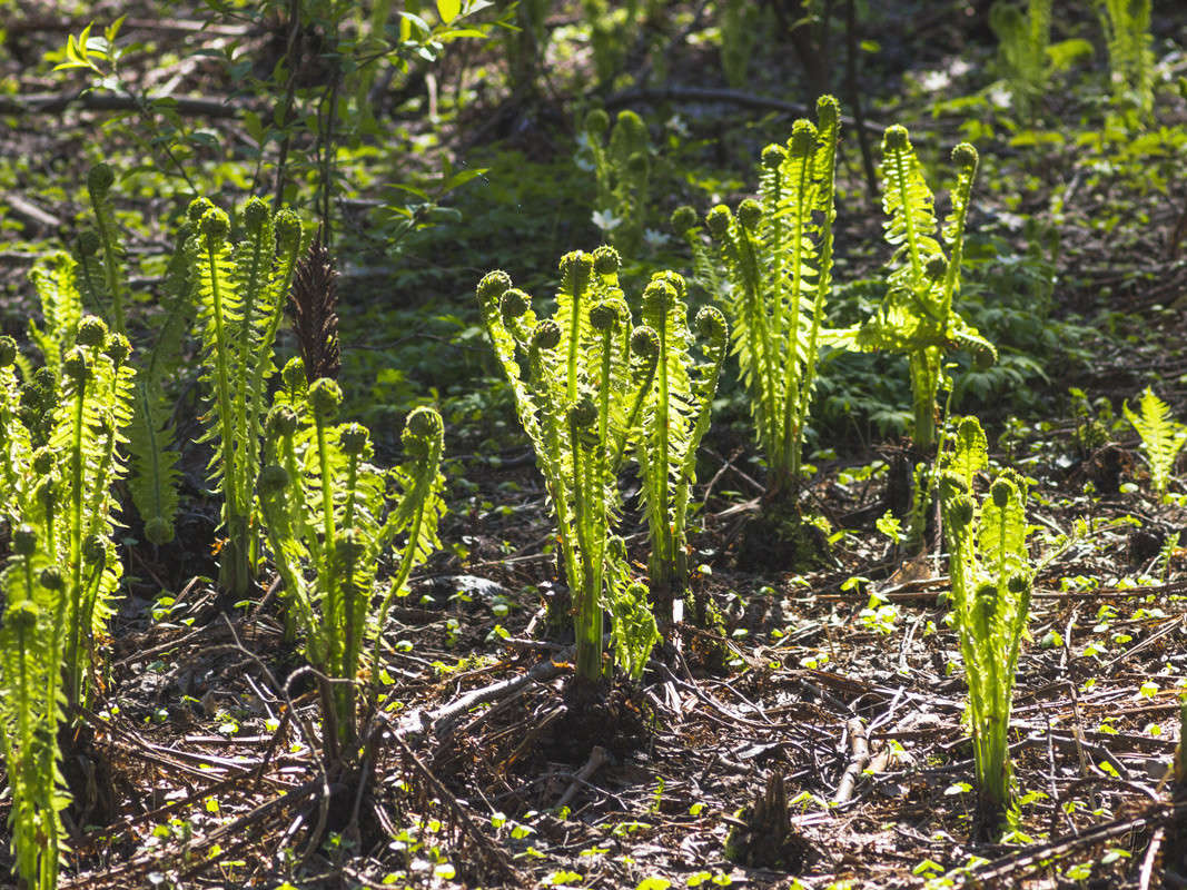 � ��� � �� ����� Vitaly Konakov �� PhotoGeek.ru #������ ��� ������� #����� ��������