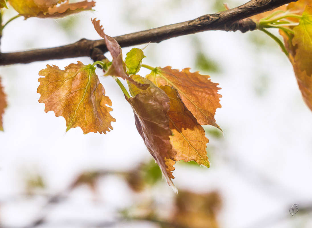 ������� ������ ����� ����� Vitaly Konakov �� PhotoGeek.ru #������ ��� ������� #����� ��������