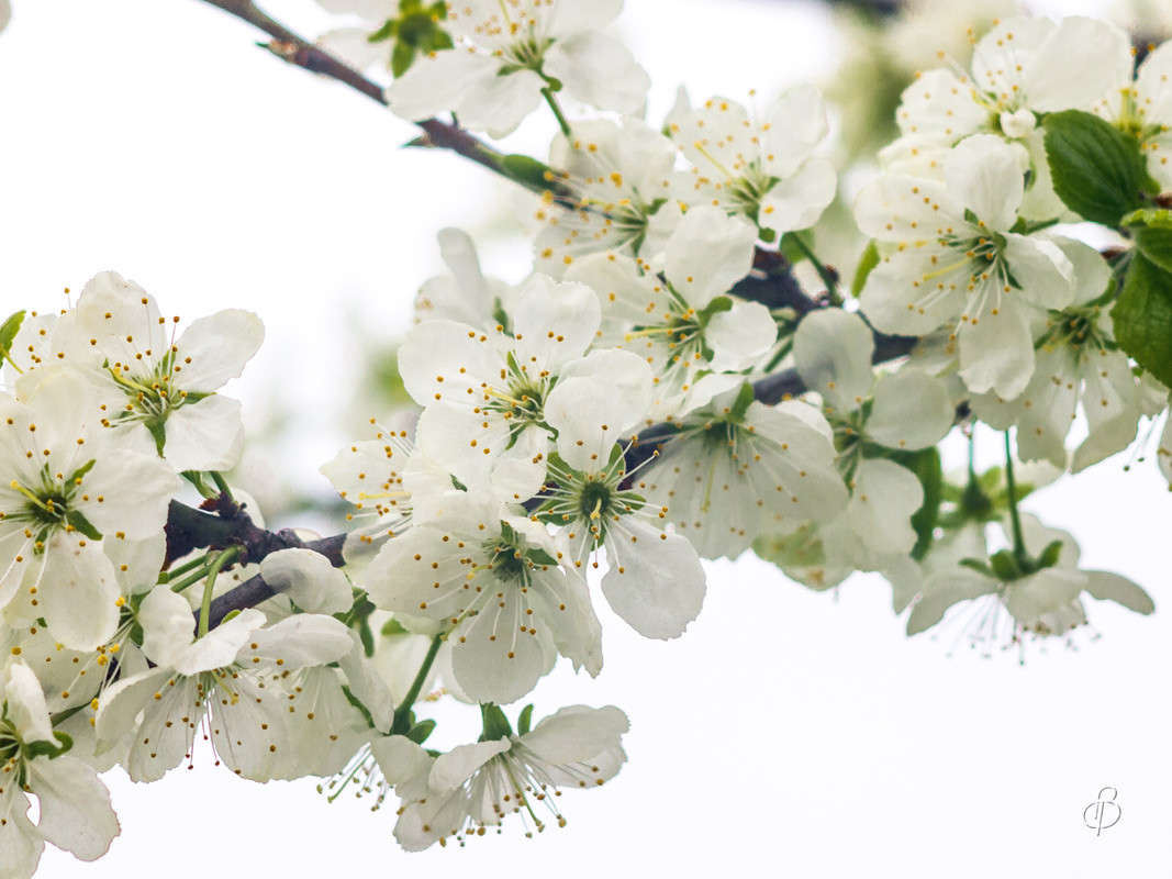 ����� �������� ����� Vitaly Konakov �� PhotoGeek.ru #������ ��� ������� #����� ��������