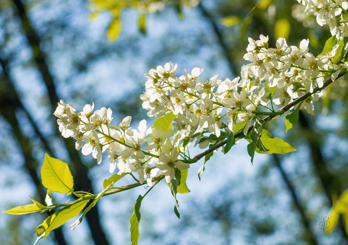 ���������� ����� 1 ����� Vitaly Konakov �� PhotoGeek.ru #������ ��� ������� #� #����� ��������