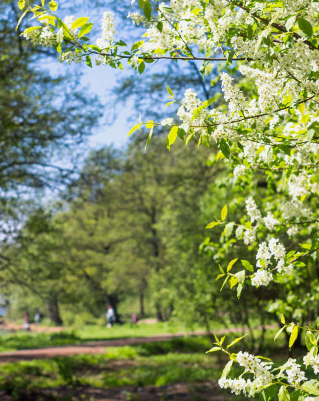 ���������� ����� 3 ����� Vitaly Konakov �� PhotoGeek.ru #������ ��� ������� #����� ��������