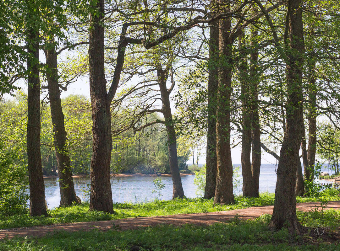 ���������� ����� 4 ����� Vitaly Konakov �� PhotoGeek.ru #������ ��� ������� #����� ��������