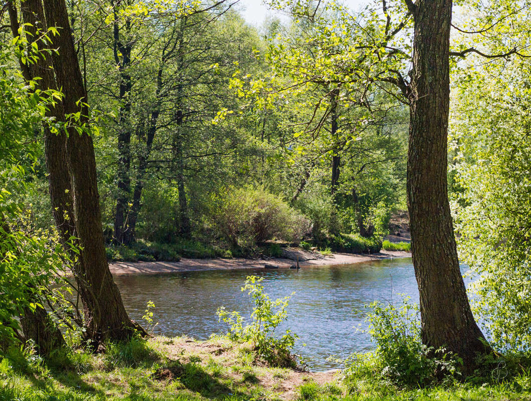 ���������� ����� 5 ����� Vitaly Konakov �� PhotoGeek.ru #������ ��� ������� #����� ��������