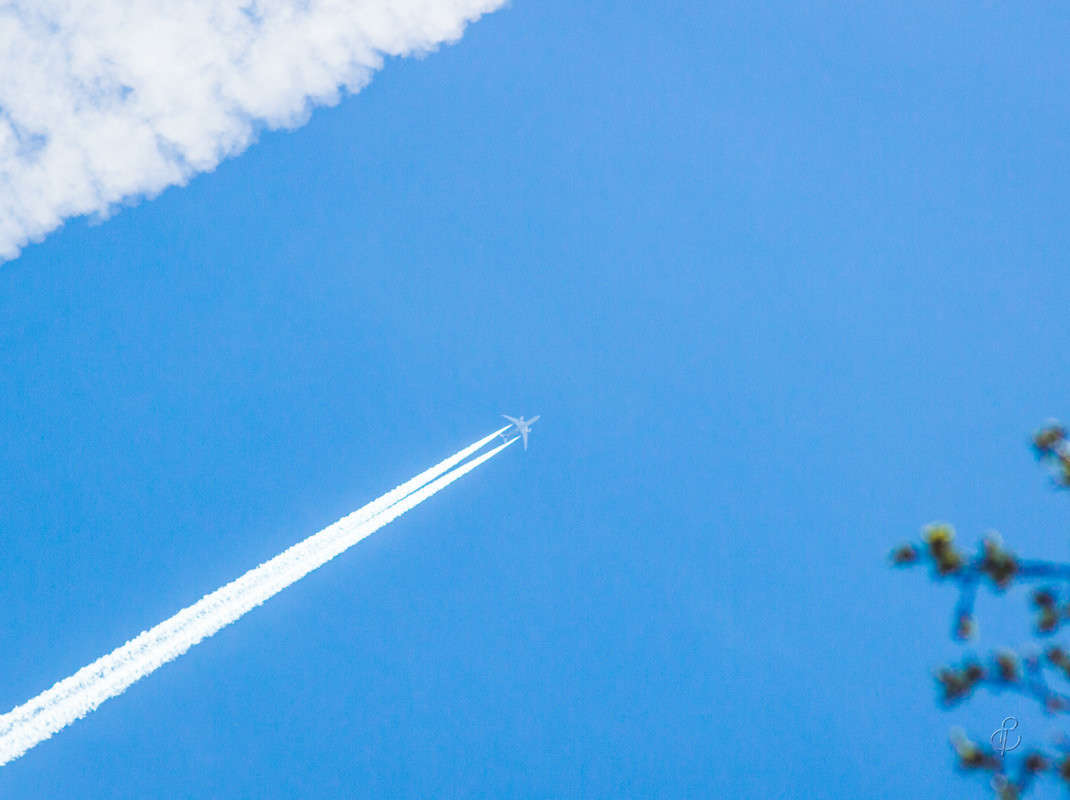 �������� ������ ����� Vitaly Konakov �� PhotoGeek.ru #�������� ���������� #���������������