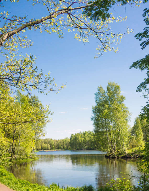 ���������� ��� ����� Vitaly Konakov �� PhotoGeek.ru #������ ��� ������� #����� ��������