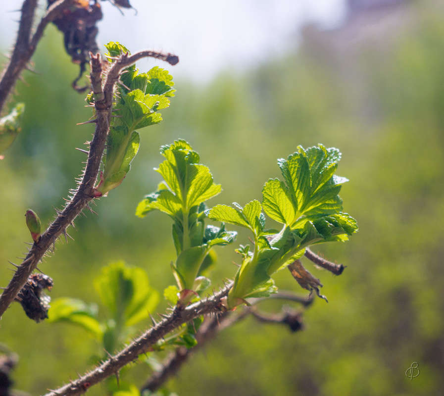 ������� ������ ��������� ����� Vitaly Konakov �� PhotoGeek.ru #������ ��� ������� #����� ��������