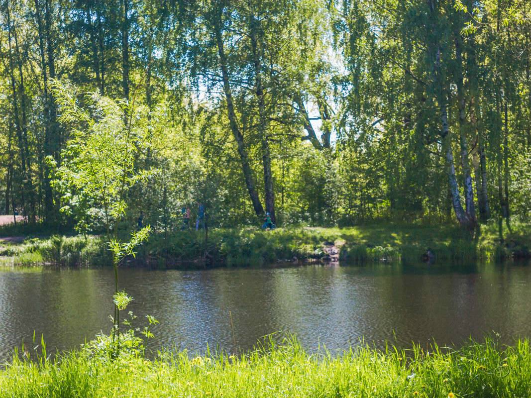 ������ ������� ����� Vitaly Konakov �� PhotoGeek.ru #������ ��� ������� #����� ��������