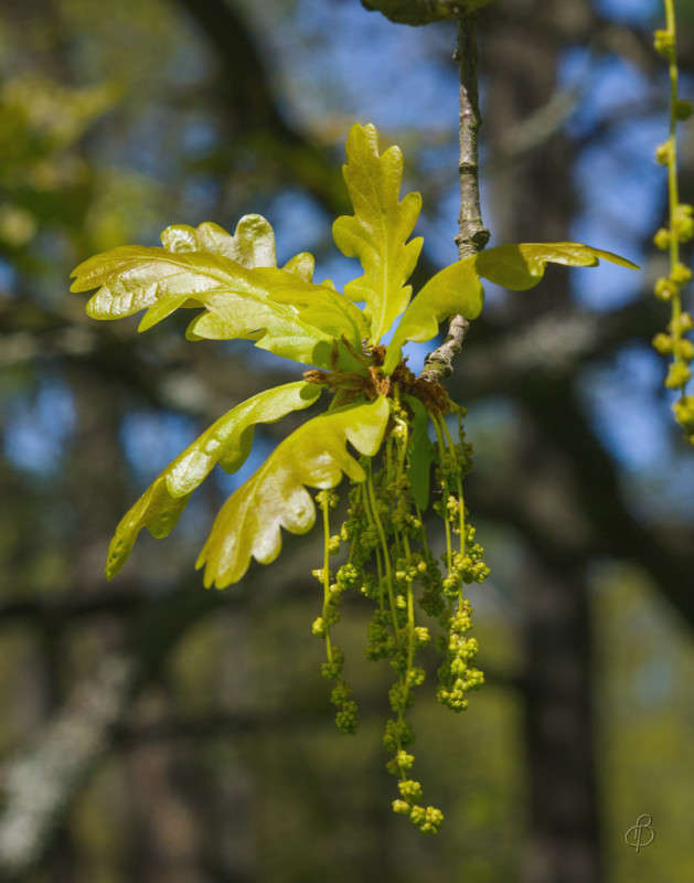 ������� ������ ���� 2 ����� Vitaly Konakov �� PhotoGeek.ru #������ ��� ������� #����� ��������