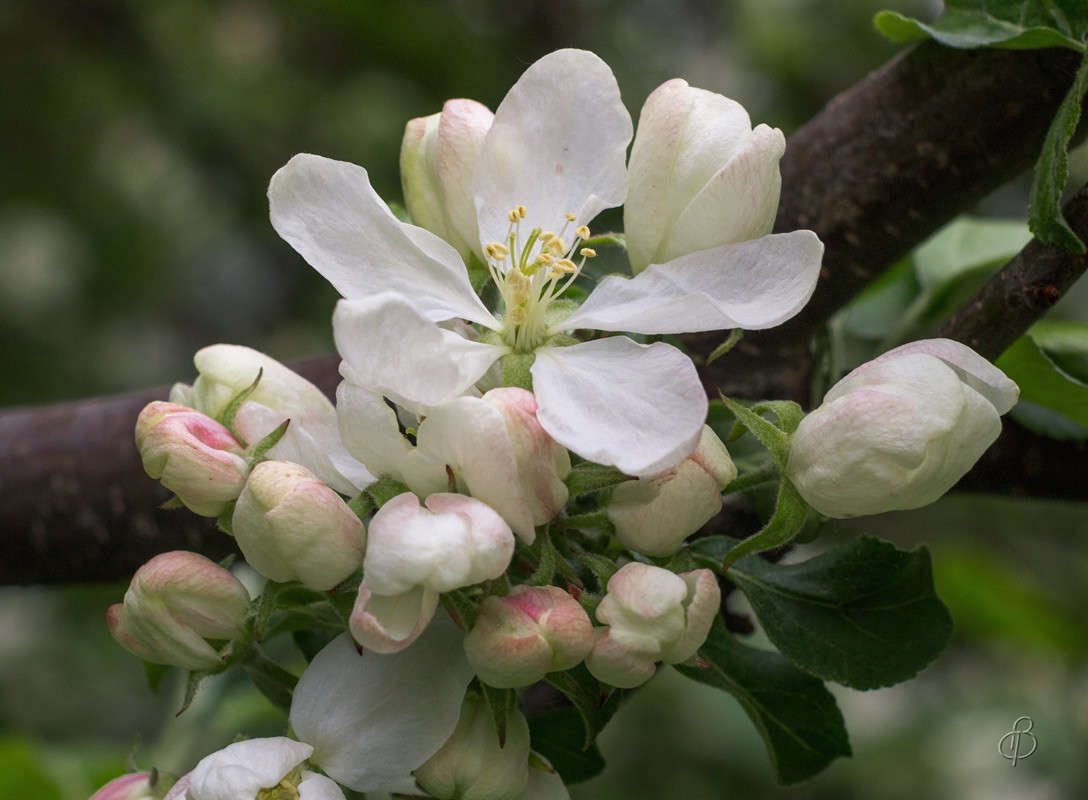 ��������� ����� Vitaly Konakov �� PhotoGeek.ru #������ ��� ������� #����� ��������