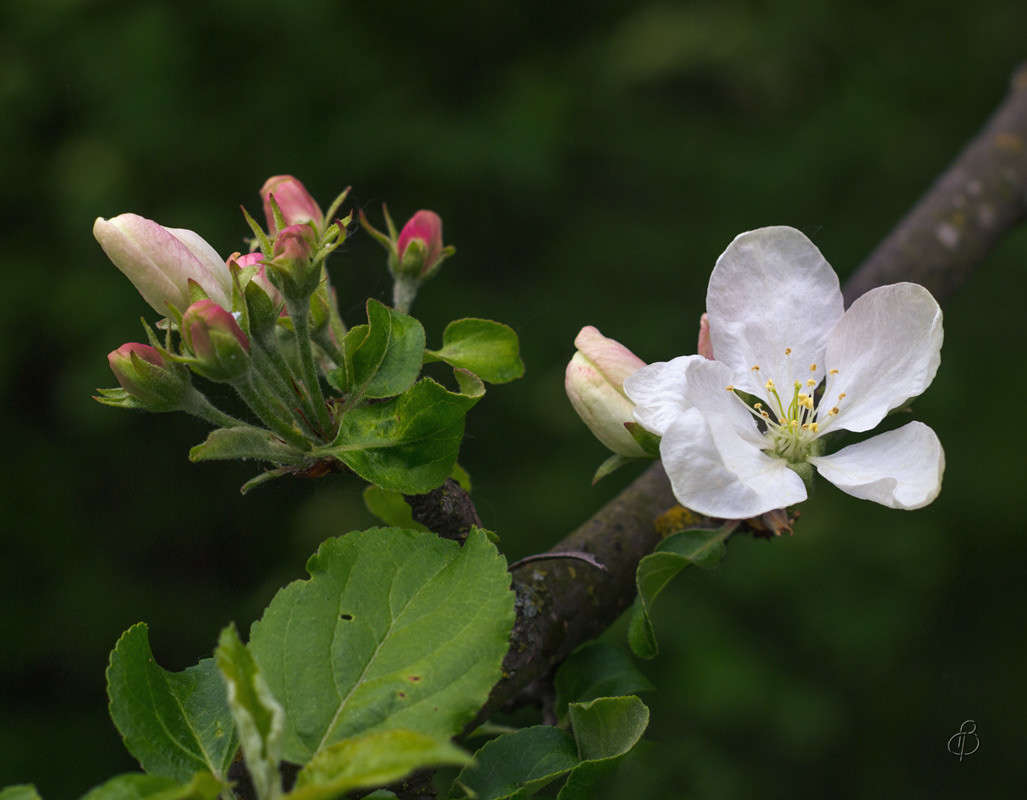 ��������� 2 ����� Vitaly Konakov �� PhotoGeek.ru #������ ��� ������� #����� ��������