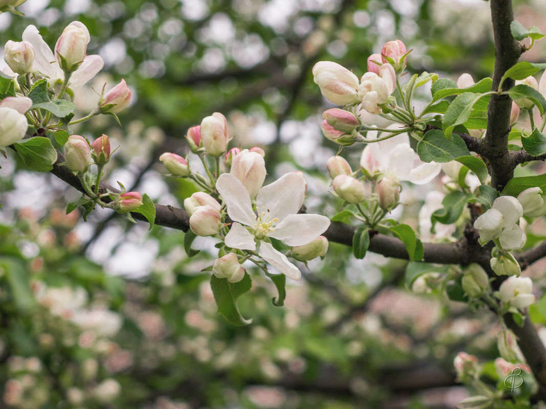 ��������� 3 ����� Vitaly Konakov �� PhotoGeek.ru #������ ��� ������� #����� ��������
