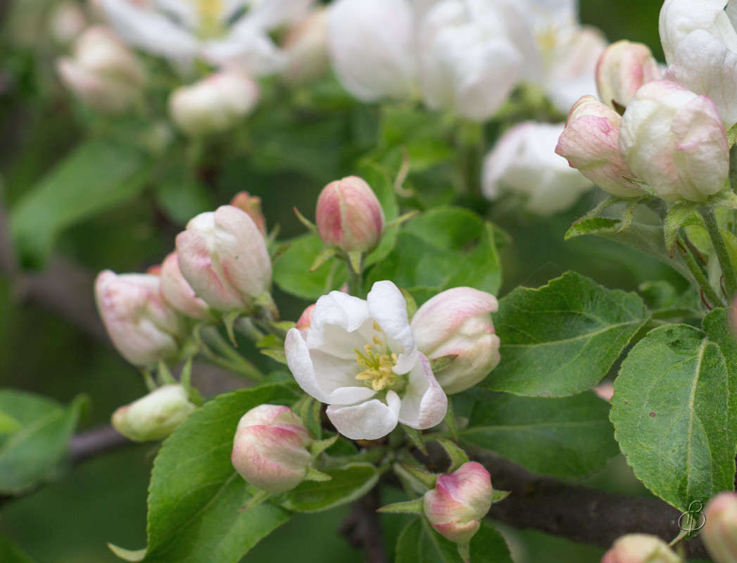 ��������� 4 ����� Vitaly Konakov �� PhotoGeek.ru #������ ��� ������� #����� ��������