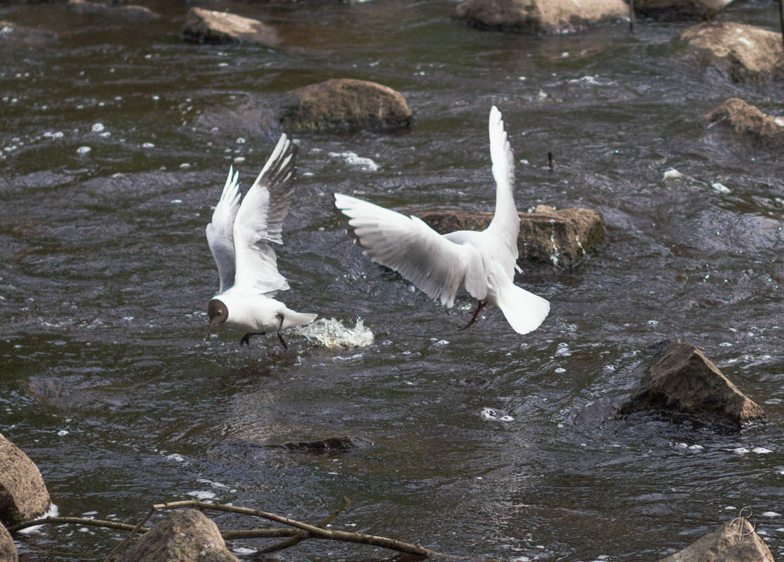 �� �������� ����� Vitaly Konakov �� PhotoGeek.ru #������ ��� ������� #������