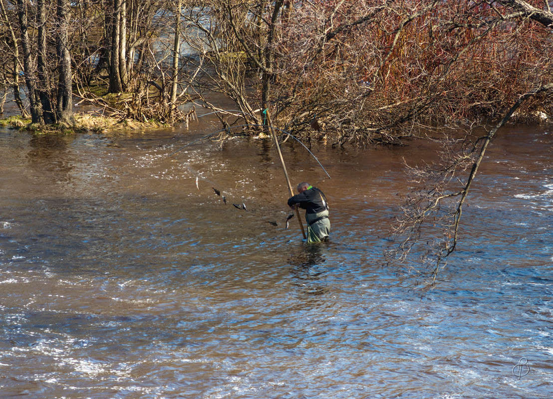 ����� ������� 3 ����� Vitaly Konakov �� PhotoGeek.ru #�������� ���������� #������� #���������������