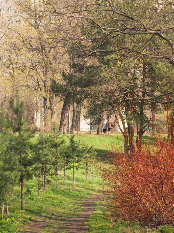 ����� �������  � ����� ����� ����� Vitaly Konakov �� PhotoGeek.ru #�������� ���������� #���������������