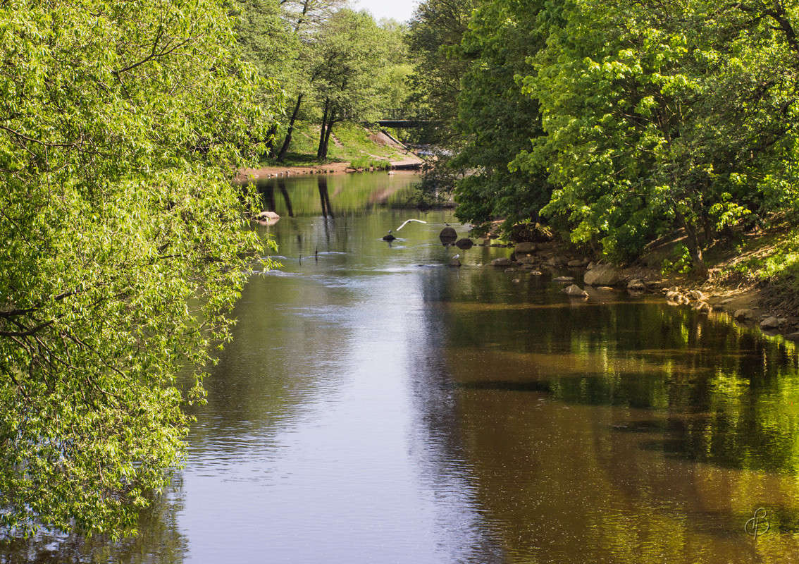 ������� ����� Vitaly Konakov �� PhotoGeek.ru #������ ��� ������� #����� ��������