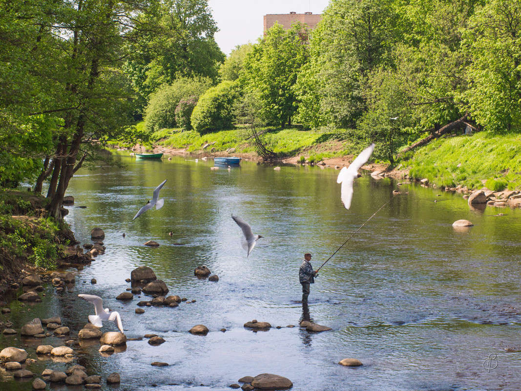 �� ������� ����� Vitaly Konakov �� PhotoGeek.ru #������ ��� ������� #����� ��������
