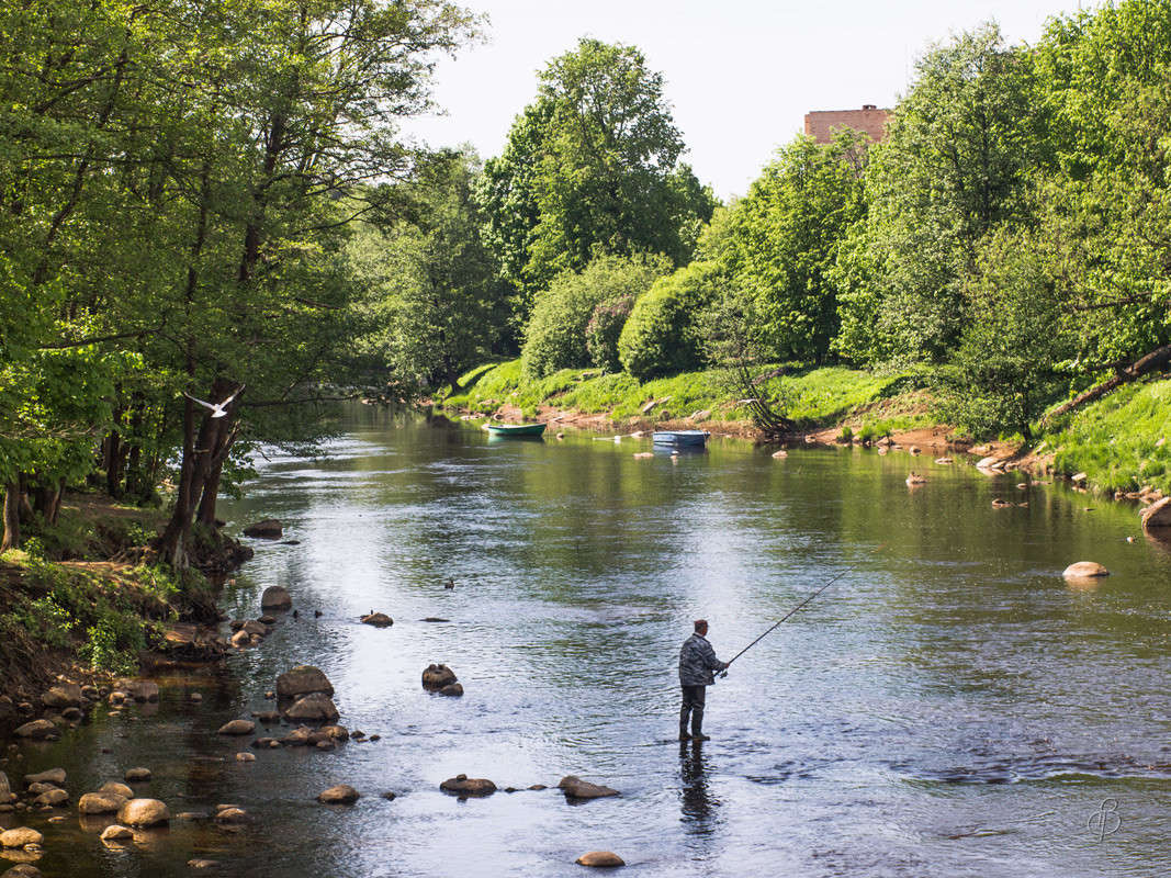 �� ������� 3 ����� Vitaly Konakov �� PhotoGeek.ru #������ ��� ������� #����� ��������