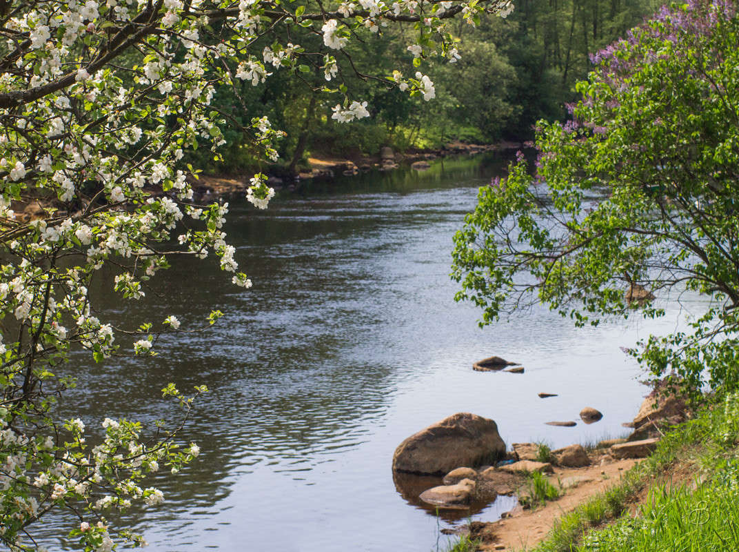 �� ������� 4 ����� Vitaly Konakov �� PhotoGeek.ru #������ ��� ������� #����� ��������