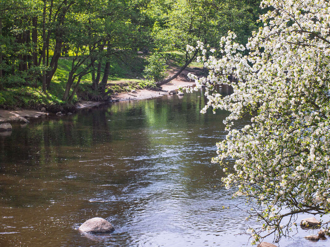 �� ������� 6 ����� Vitaly Konakov �� PhotoGeek.ru #������ ��� ������� #����� ��������