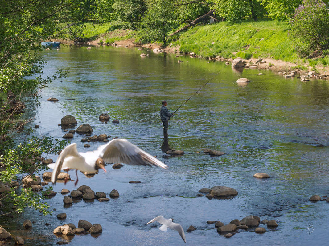 �� ������� 7 ����� Vitaly Konakov �� PhotoGeek.ru #������ ��� ������� #����� ��������