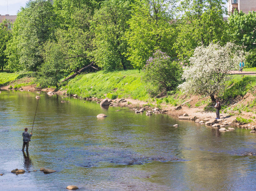 �� ������� 8 ����� Vitaly Konakov �� PhotoGeek.ru #������ ��� ������� #����� ��������