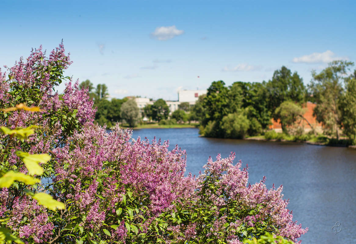 ��������� ����� ����� Vitaly Konakov �� PhotoGeek.ru #������ ��� ������� #����� ��������