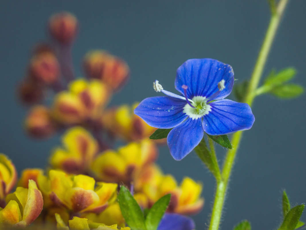 ��������� ����� Vitaly Konakov �� PhotoGeek.ru #������ ��� ������� #����� ��������������