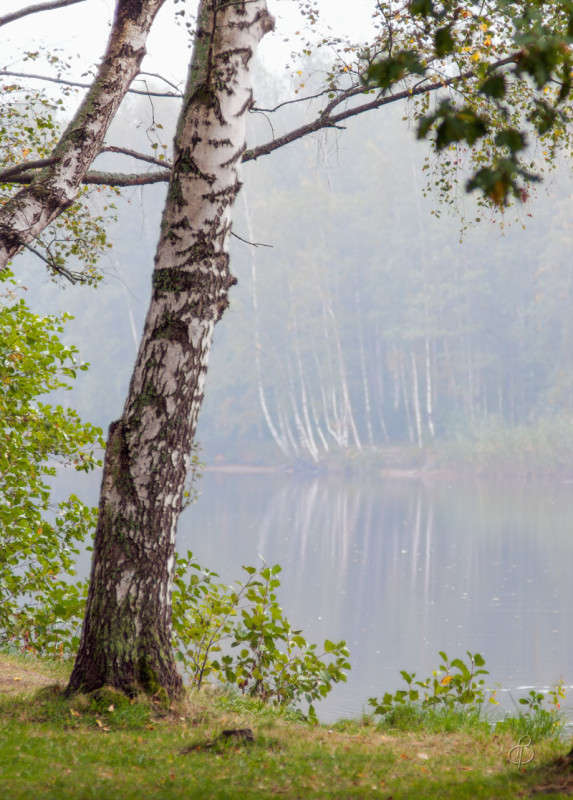 � ����� ����� ����� Vitaly Konakov �� PhotoGeek.ru #������ ��� ������� #����� ��������