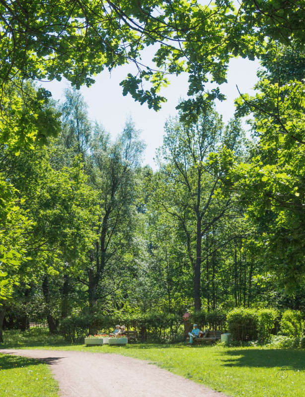 � ������������ ���� ����� Vitaly Konakov �� PhotoGeek.ru #������ ��� ������� #����� ��������