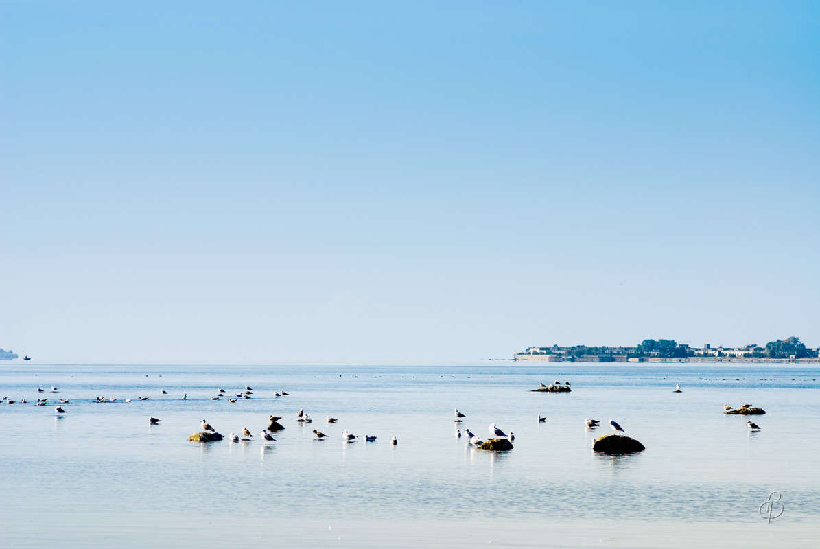 ����� � ������������ ���� ����� Vitaly Konakov �� PhotoGeek.ru #������ ��� ������� #����� ��������