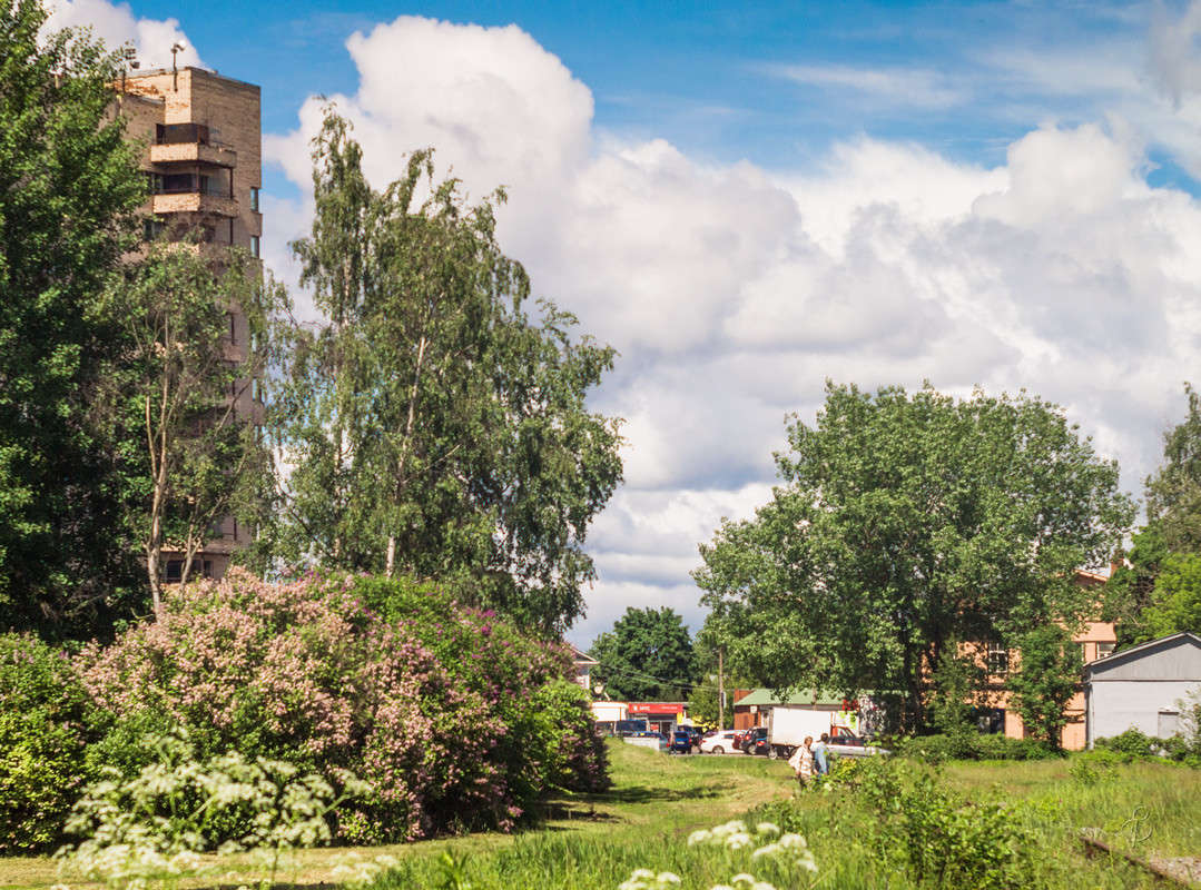 ��������� ���� ����� Vitaly Konakov �� PhotoGeek.ru #������ ��� ������� #����� ��������