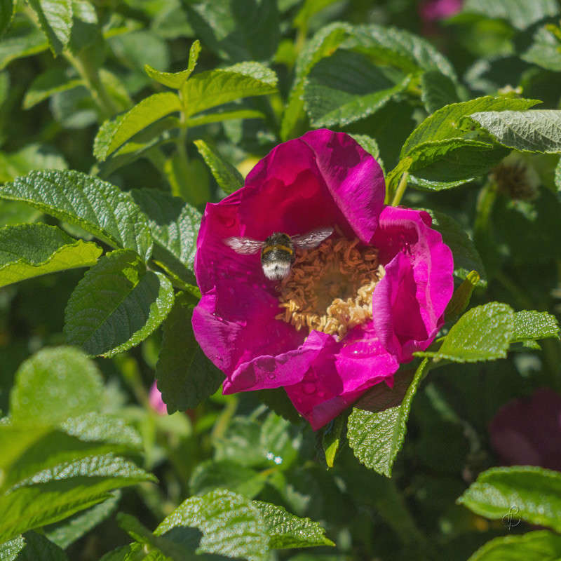 ��������� ����� Vitaly Konakov �� PhotoGeek.ru #������ ��� ������� #����� ��������