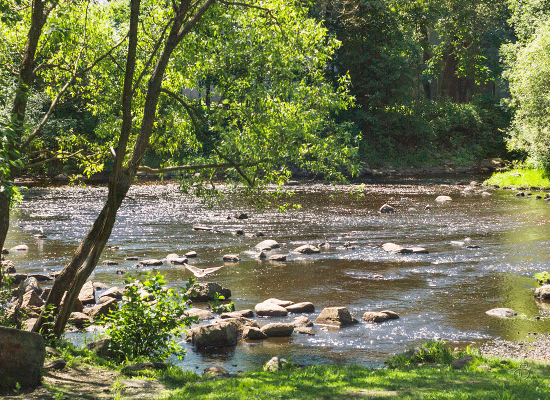 ������� ����� Vitaly Konakov �� PhotoGeek.ru #������ ��� ������� #����� ��������