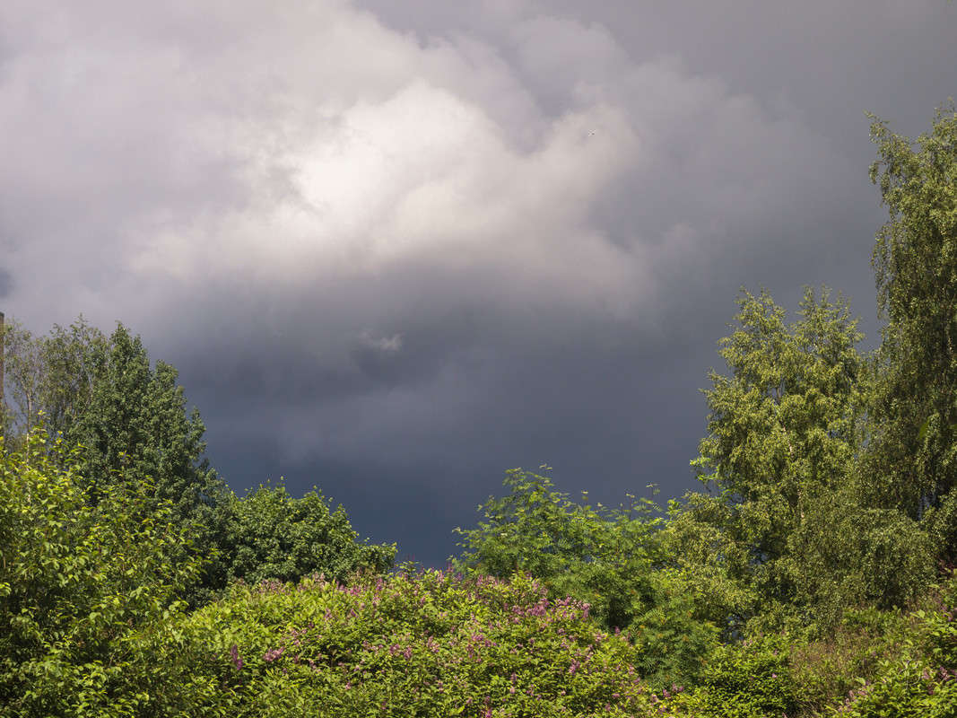 ���-��� ������� ����� Vitaly Konakov �� PhotoGeek.ru #������ ��� ������� #����� ��������