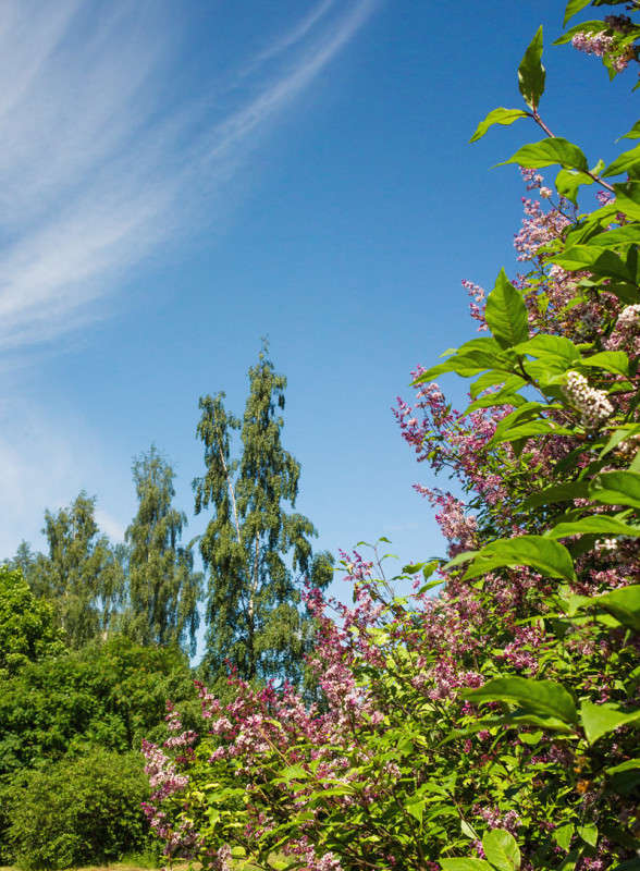 ���� ���������� ����� Vitaly Konakov �� PhotoGeek.ru #������ ��� ������� #����� ��������