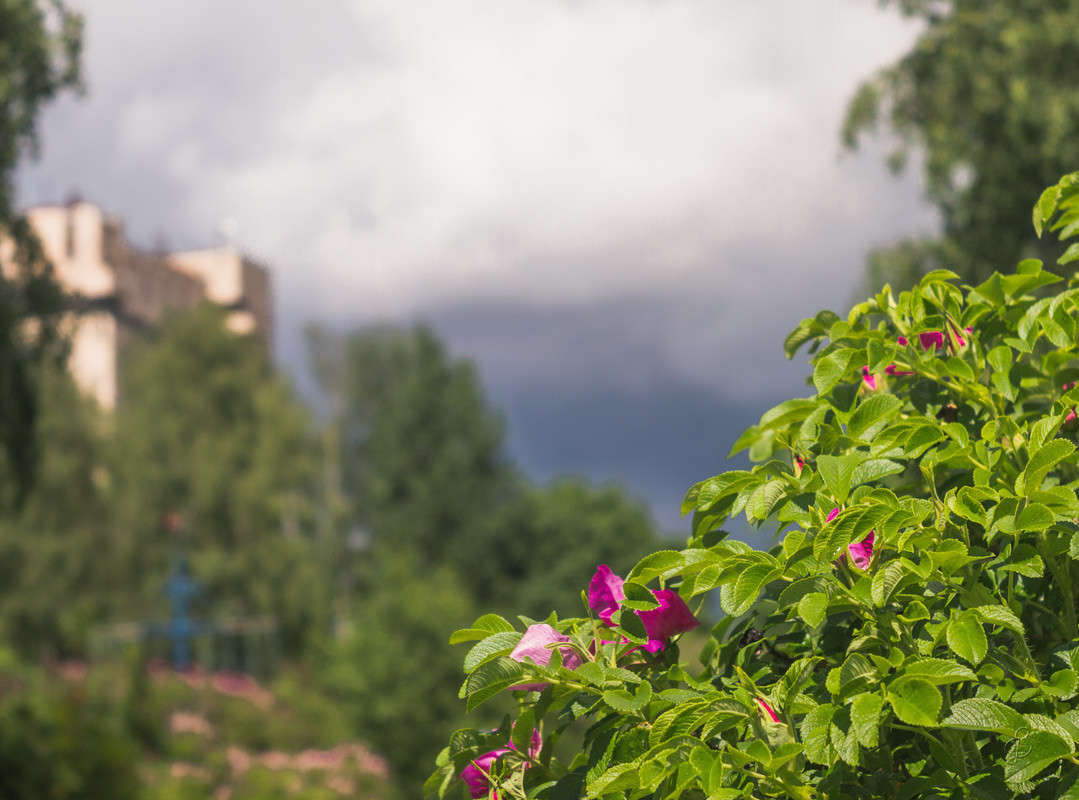 ����� ������ ����� Vitaly Konakov �� PhotoGeek.ru #������ ��� ������� #����� ��������